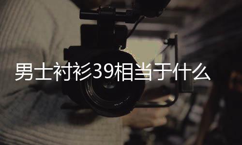 和平开挂器(永久免费)男士衬衫39相当于什么尺码